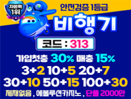 고액전용 놀이터 안전토토사이트 비행기